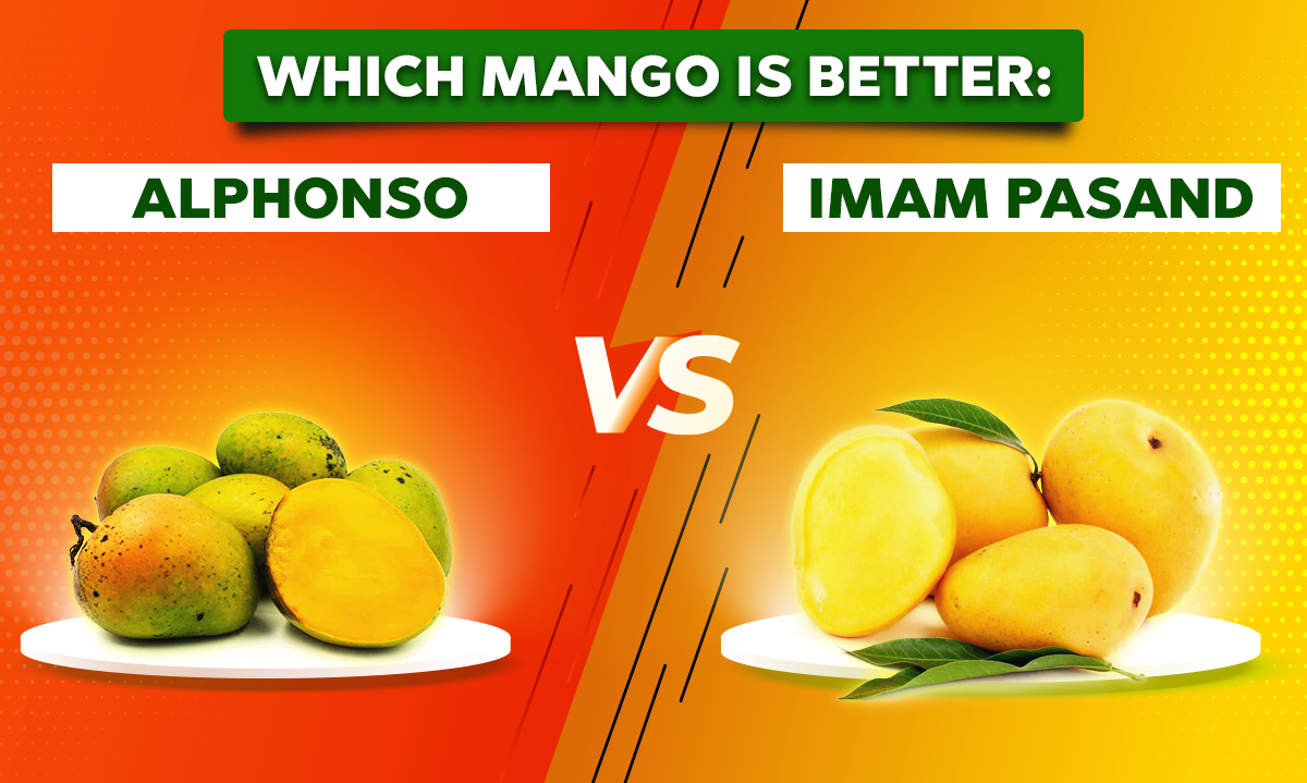  Imam Pasand or Alphonso Mangoes