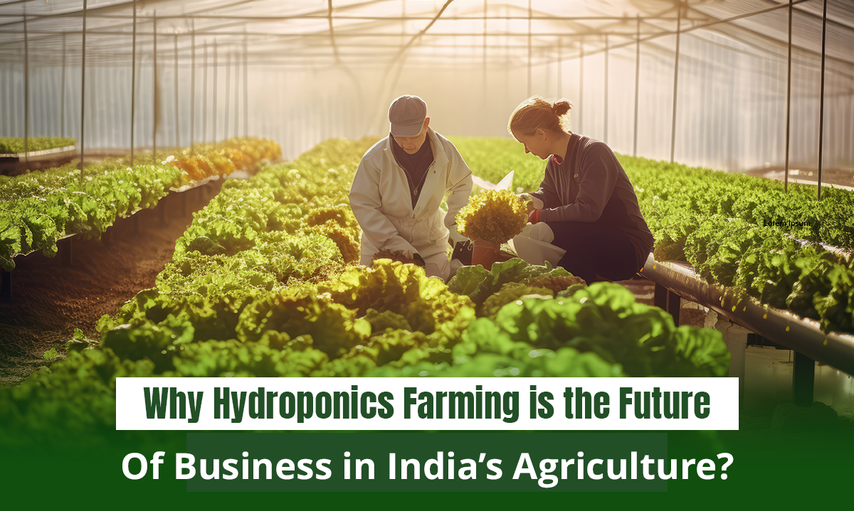 Why Hydroponics Farming is the Future of Business in India’s Agriculture? | Getfarms Blog