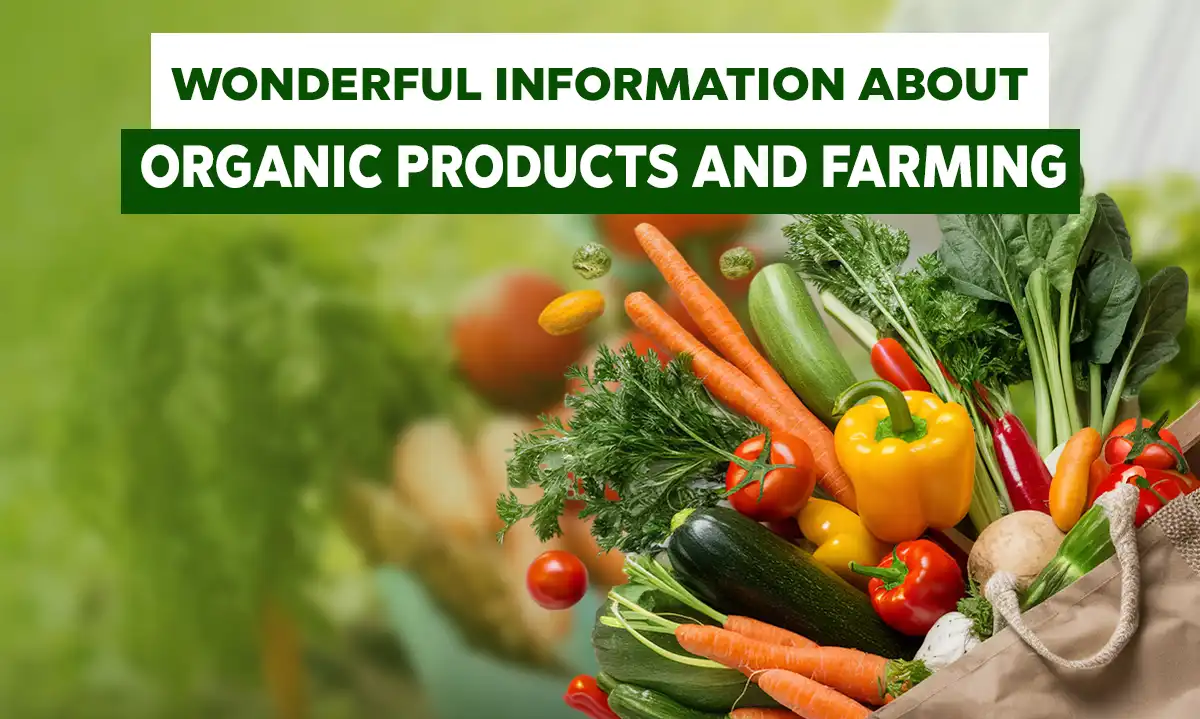 Wonderful Information about Organic Products and Farming