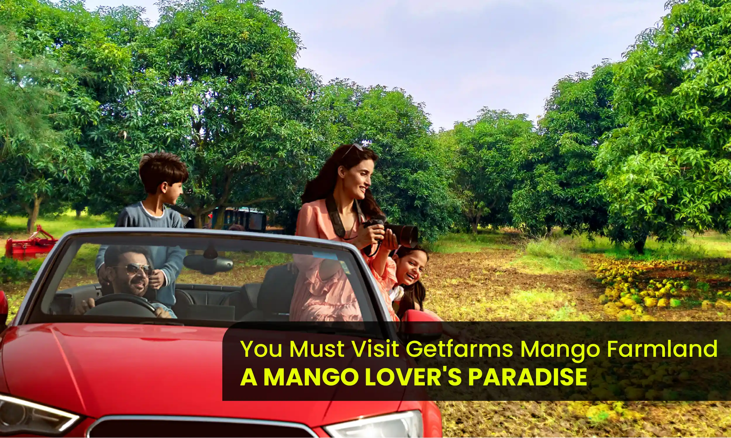 Visit Mango Farmland at Getfarms in Chennai