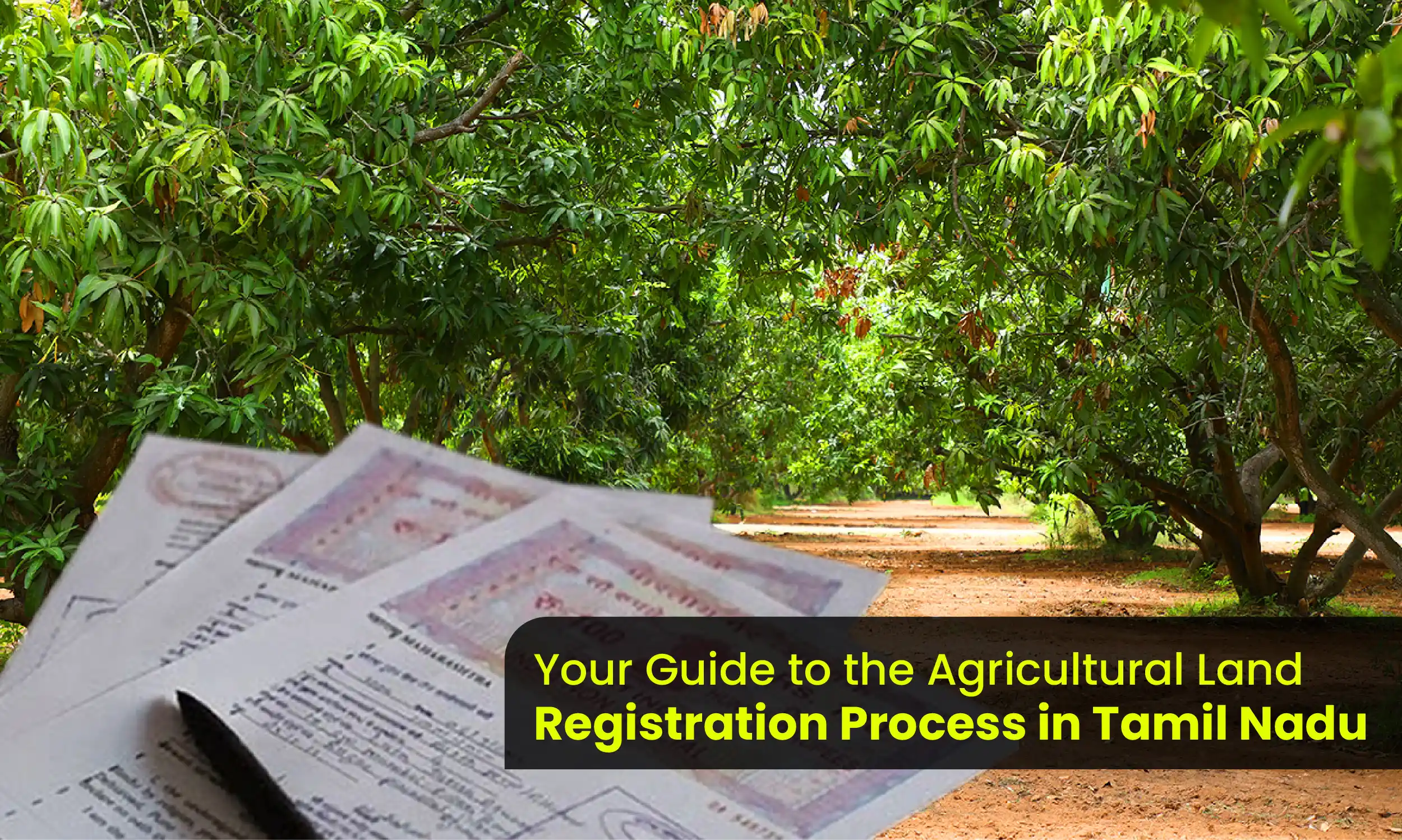 Agricultural Land Registration Process in Tamil Nadu