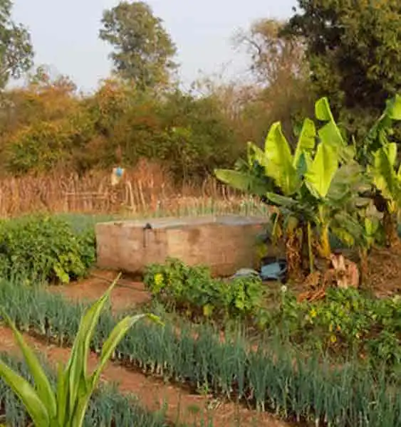 Agriculture land for sale in chennai