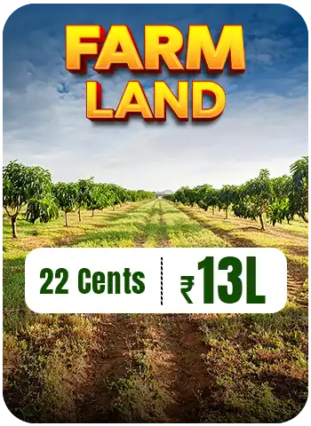 Farm Land Chennai